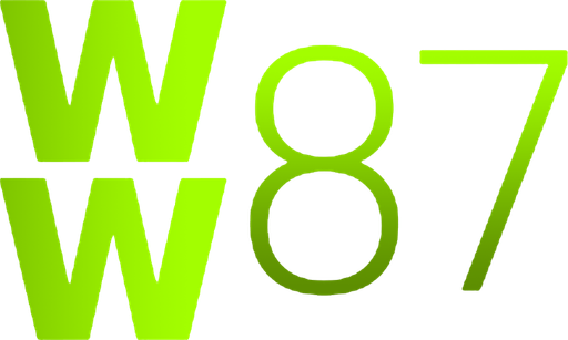 vnww87.com Logo